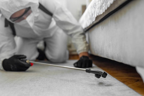 Professional Bed Bug Control technician working in Bloomfield Hills, MI