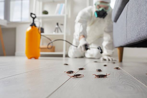 Trusted Mosquito Control service in Bloomfield Hills, MI - Nex Pest Control