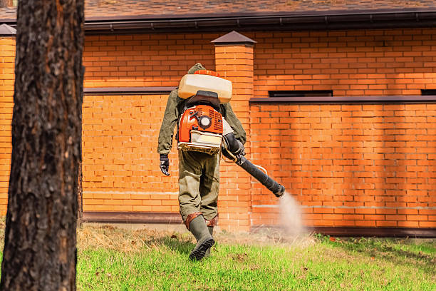 Trusted Rodent Control service in Bloomfield Hills, MI - Nex Pest Control
